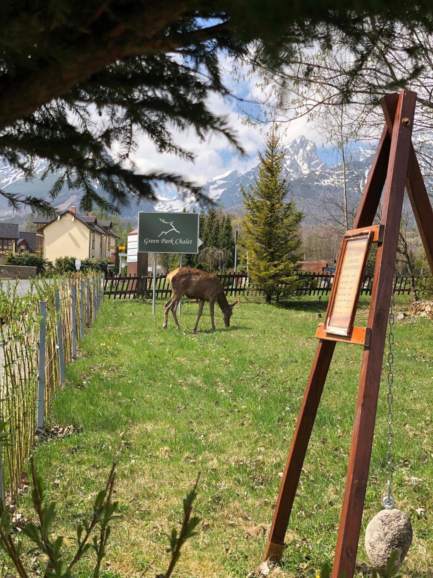 Chalet Green Park Stará Lesná Kültér fotó